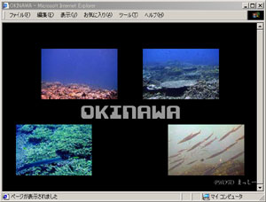 FlashMovie